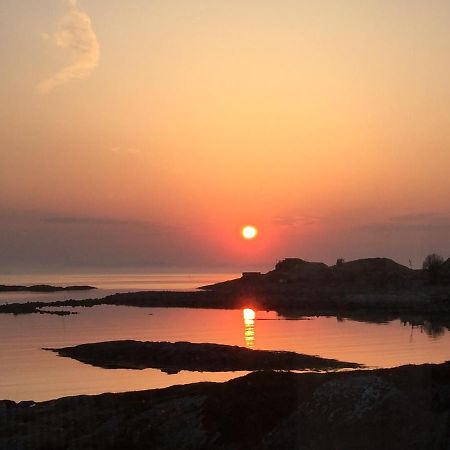 Superior Cottage With Sea View In Senja Senjehesten ภายนอก รูปภาพ