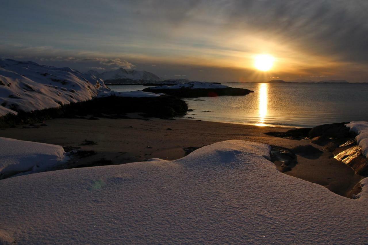 Superior Cottage With Sea View In Senja Senjehesten ภายนอก รูปภาพ