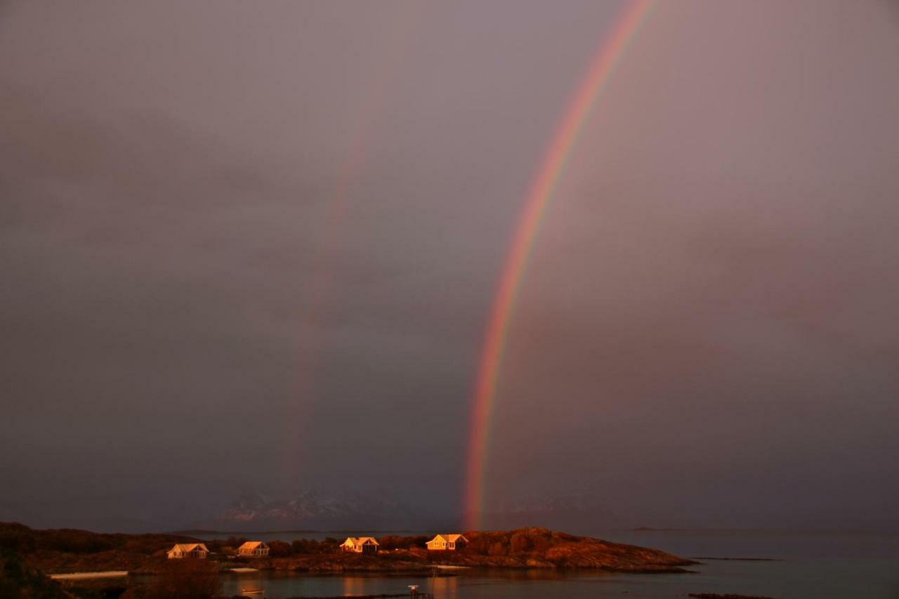 Superior Cottage With Sea View In Senja Senjehesten ภายนอก รูปภาพ