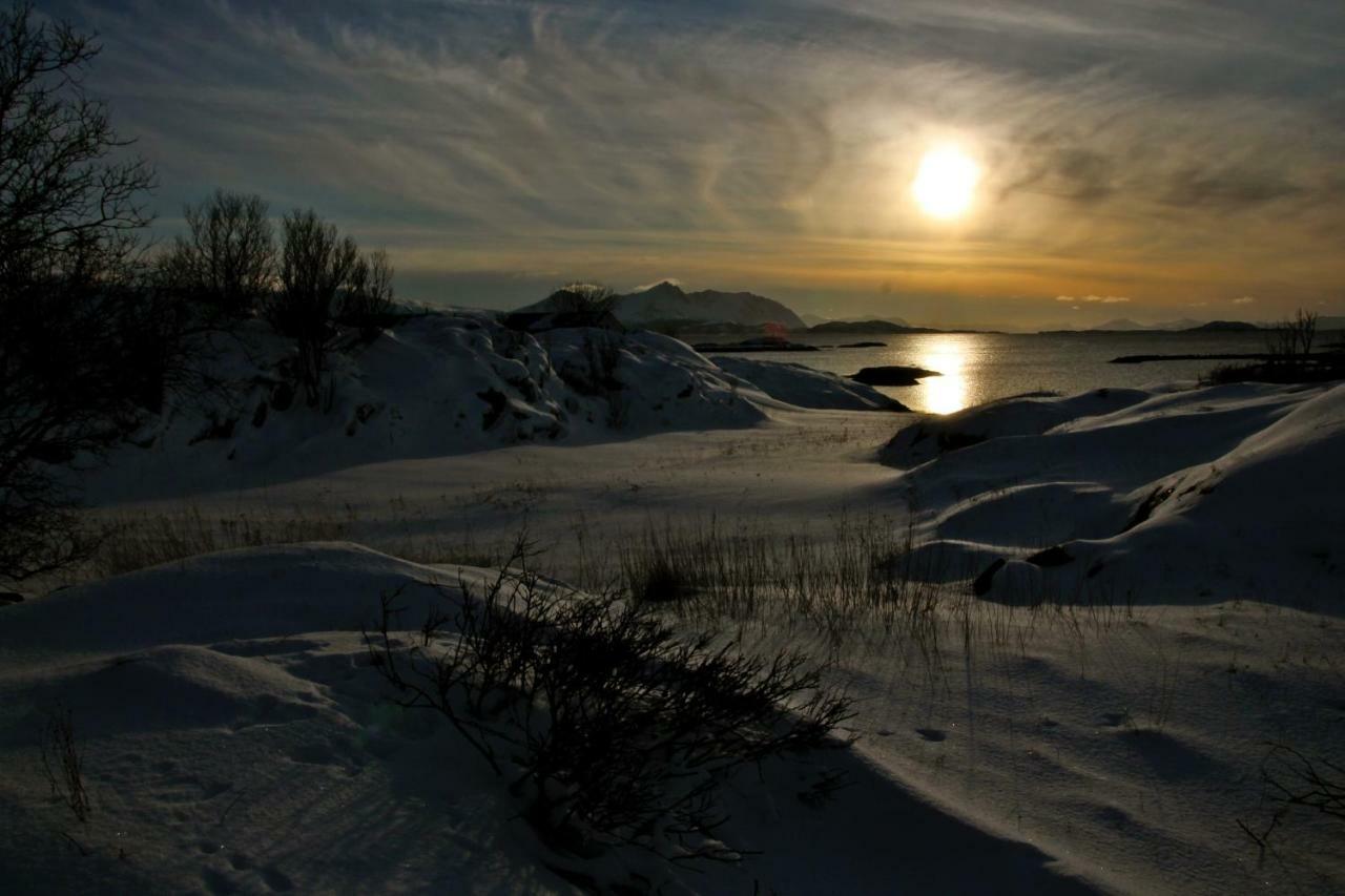 Superior Cottage With Sea View In Senja Senjehesten ภายนอก รูปภาพ
