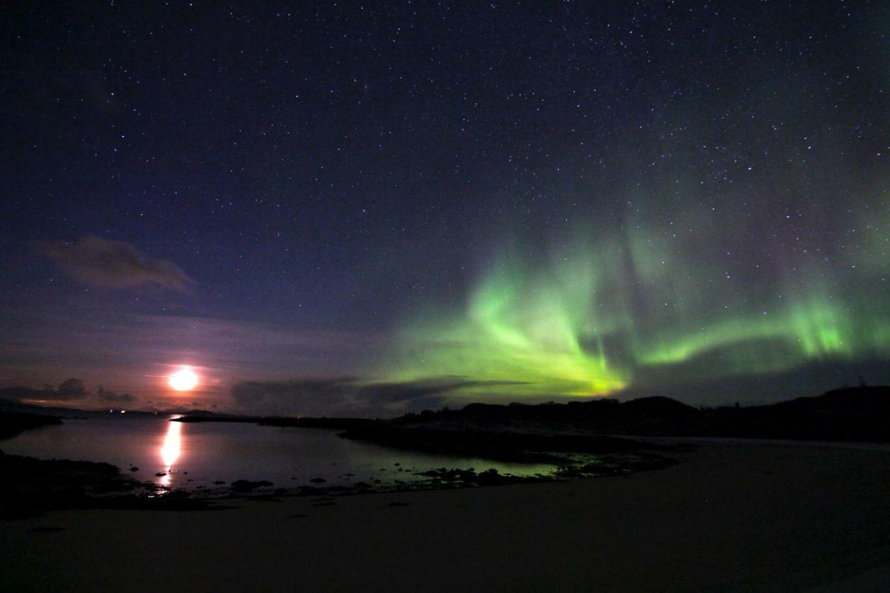 Superior Cottage With Sea View In Senja Senjehesten ภายนอก รูปภาพ