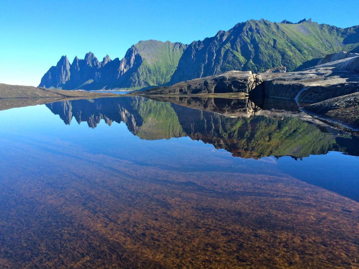 Superior Cottage With Sea View In Senja Senjehesten ภายนอก รูปภาพ
