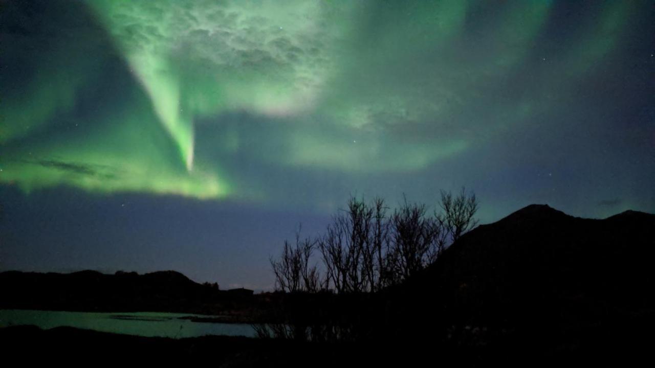 Superior Cottage With Sea View In Senja Senjehesten ภายนอก รูปภาพ